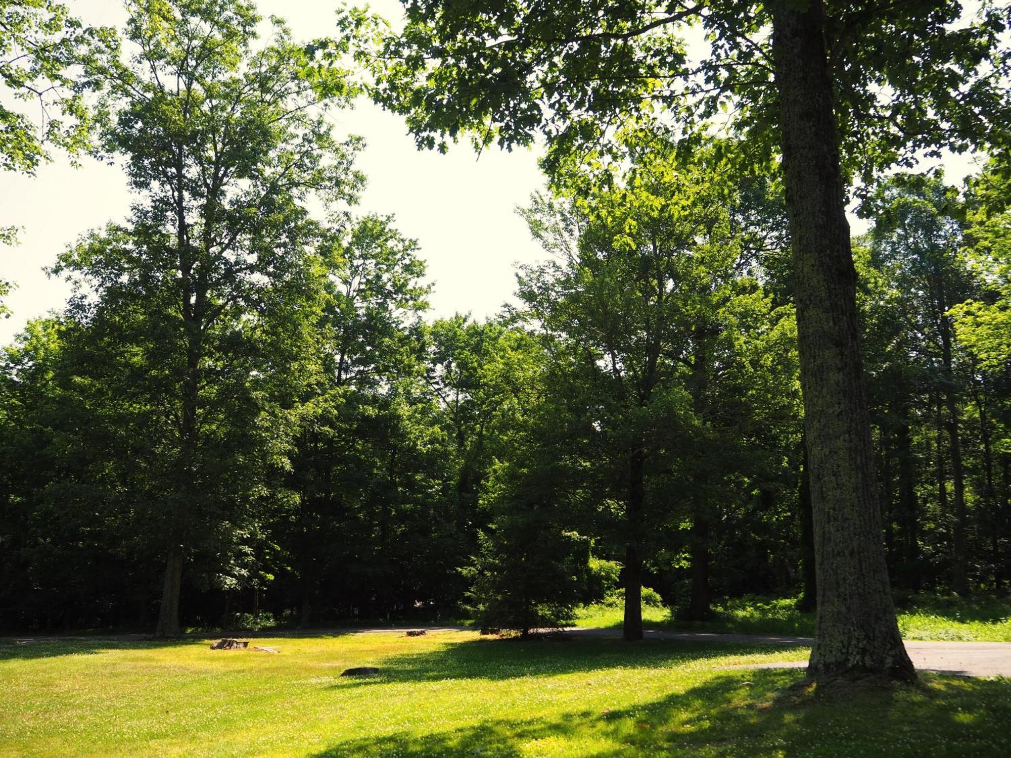 Woodfield Manor - A Sundance Vacations Property Cresco Exterior foto